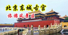 美女露乳网站污中国北京-东城古宫旅游风景区